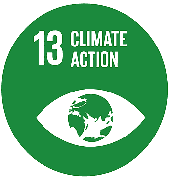 SDG 13